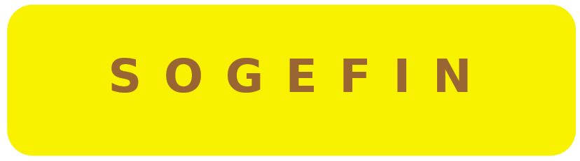 SOGEFIN LOGO